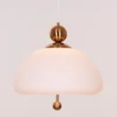 Lots To Hide (Gold) Built-In LED Frosted Glass Pendant Light