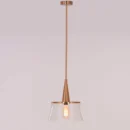 Overflowing (Gold) Clear Glass Pendant Light